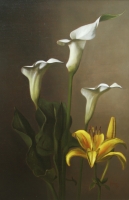 Lily #2