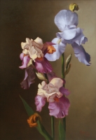 Iris IV--SOLD