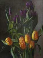 Tulips